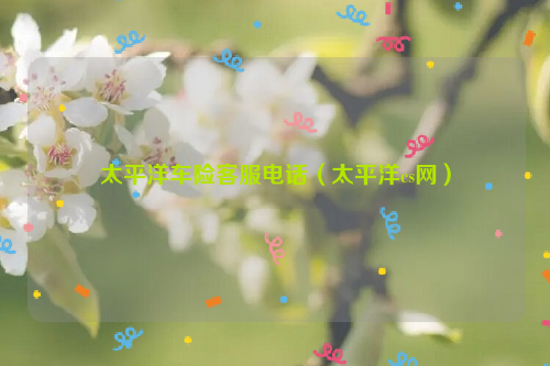 太平洋车险客服电话（太平洋cs网）