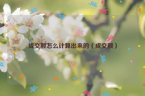 成交额怎么计算出来的（成交额）