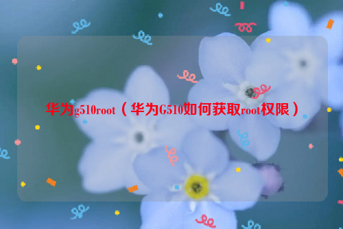 华为g510root（华为G510如何获取root权限）