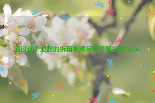 通过这个泄露的拆箱视频尽早了解谷歌Pixel6a
