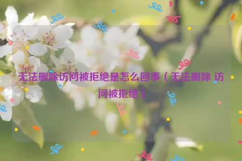 无法删除访问被拒绝是怎么回事（无法删除 访问被拒绝）
