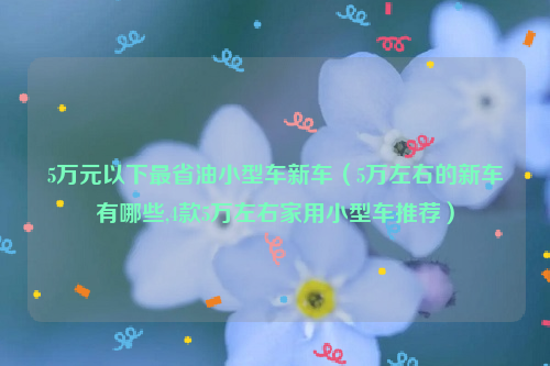 5万元以下最省油小型车新车（5万左右的新车有哪些,4款5万左右家用小型车推荐）