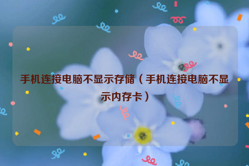 手机连接电脑不显示存储（手机连接电脑不显示内存卡）
