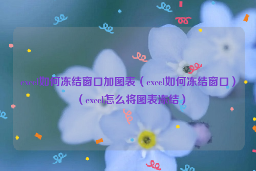 excel如何冻结窗口加图表（excel如何冻结窗口）（excel怎么将图表冻结）