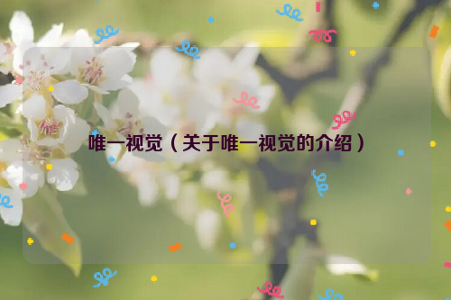 唯一视觉（关于唯一视觉的介绍）