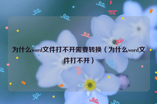 为什么word文件打不开需要转换（为什么word文件打不开）