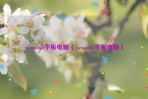 viewsonic平板电脑（viewsonic平板电脑）