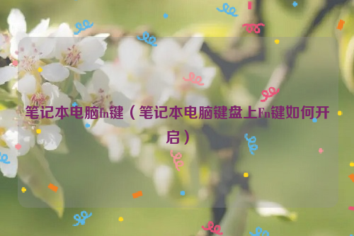 笔记本电脑fn键（笔记本电脑键盘上Fn键如何开启）