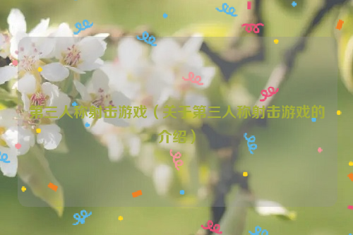 第三人称射击游戏（关于第三人称射击游戏的介绍）