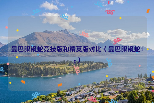 曼巴眼镜蛇竞技版和精英版对比（曼巴眼镜蛇4g）