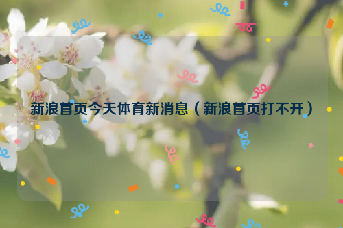 新浪首页今天体育新消息（新浪首页打不开）