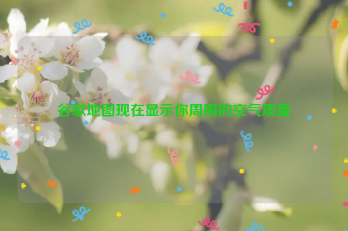 谷歌地图现在显示你周围的空气质量