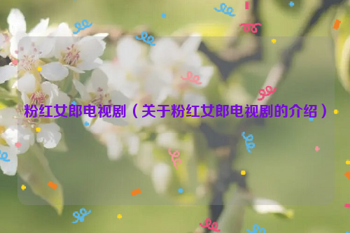 粉红女郎电视剧（关于粉红女郎电视剧的介绍）