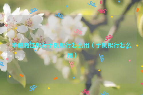 华融湘江银行手机银行怎么用（手机银行怎么用）