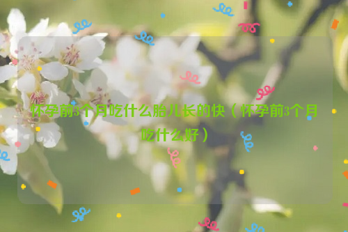 怀孕前3个月吃什么胎儿长的快（怀孕前3个月吃什么好）