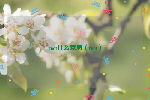 root什么意思（root）