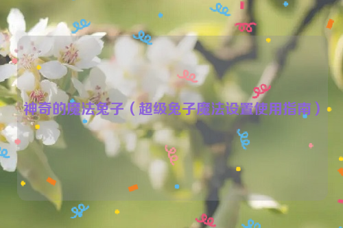神奇的魔法兔子（超级兔子魔法设置使用指南）