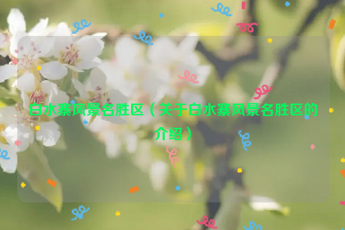 白水寨风景名胜区（关于白水寨风景名胜区的介绍）