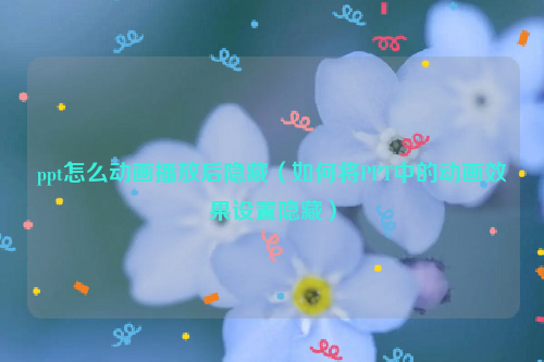 ppt怎么动画播放后隐藏（如何将PPT中的动画效果设置隐藏）