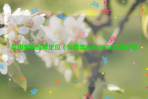 贝因美的品牌定位(贝因美BEINGMATE品牌介绍)