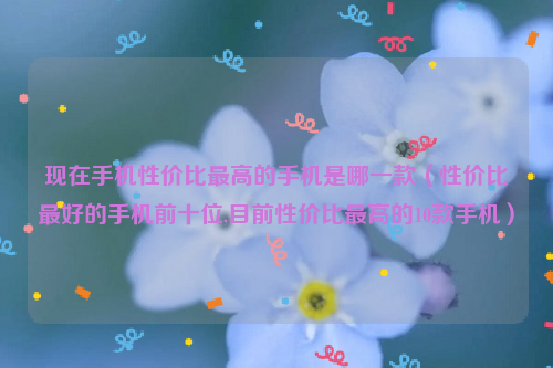 现在手机性价比最高的手机是哪一款（性价比最好的手机前十位,目前性价比最高的10款手机）