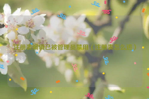 注册表编辑已被管理员禁用（注册表怎么进）