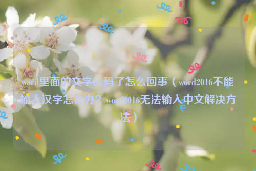 word里面的文字乱码了怎么回事（word2016不能输入汉字怎么办？word2016无法输入中文解决方法）