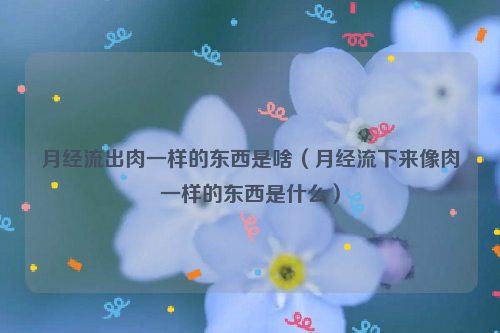 月经流出肉一样的东西是啥（月经流下来像肉一样的东西是什么）