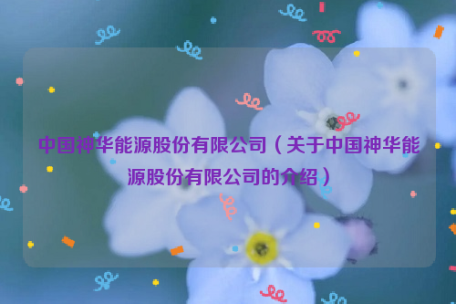 中国神华能源股份有限公司（关于中国神华能源股份有限公司的介绍）