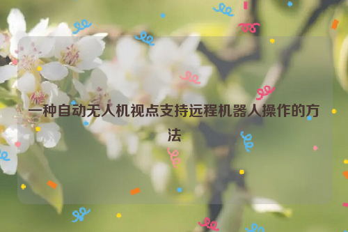 一种自动无人机视点支持远程机器人操作的方法