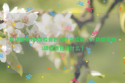 肝功能常规5项检查包括什么检查（肝功能常规5项检查包括什么）