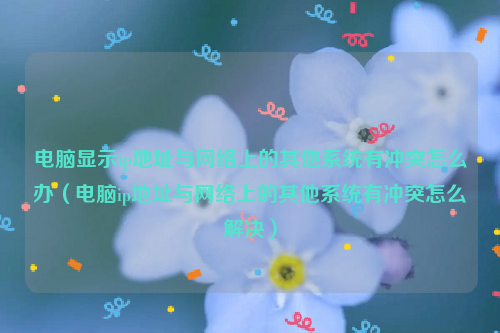 电脑显示ip地址与网络上的其他系统有冲突怎么办（电脑ip地址与网络上的其他系统有冲突怎么解决）