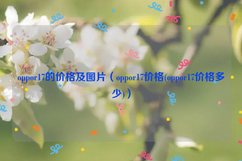 oppor17的价格及图片（oppor17价格(oppor17价格多少)）