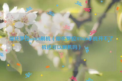 摩托罗拉mt620刷机（摩托罗拉MT620手机开不了机还可以刷机吗）