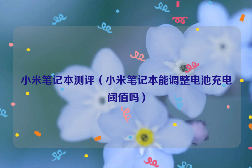 小米笔记本测评（小米笔记本能调整电池充电阈值吗）