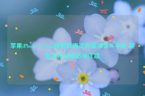 苹果iPhone 12 mini是首款真正的紧凑型5G手机 其他手机品牌必须注意