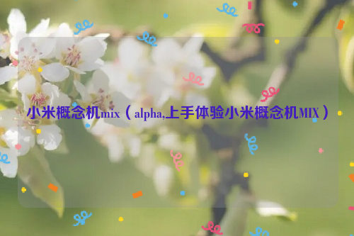 小米概念机mix（alpha,上手体验小米概念机MIX）