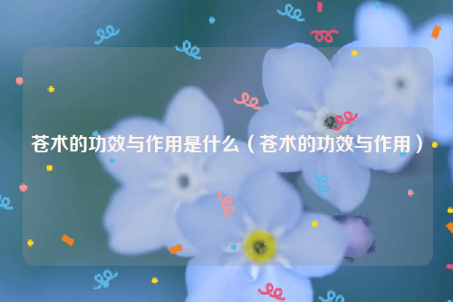 苍术的功效与作用是什么（苍术的功效与作用）