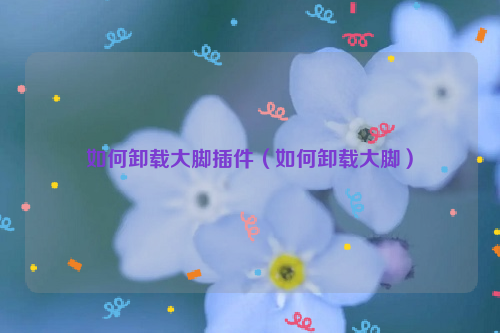 如何卸载大脚插件（如何卸载大脚）