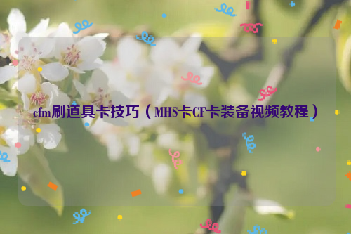 cfm刷道具卡技巧（MHS卡CF卡装备视频教程）