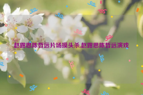 赵露思陈哲远片场摸头杀,赵露思陈哲远演戏