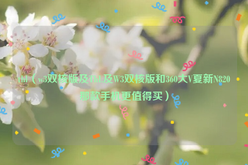 thl（w3双核版及ThL及W3双核版和360大V夏新N820那款手机更值得买）
