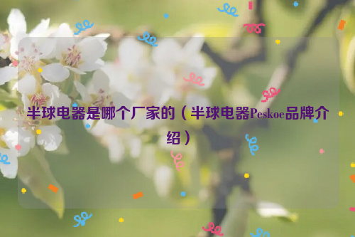 半球电器是哪个厂家的（半球电器Peskoe品牌介绍）