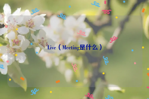 Live（Meeting是什么）