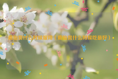 鹿胎膏什么时候服用（鹿胎膏什么时候吃最好）