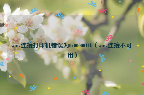 win7连接打印机错误为0x0000011b（win7连接不可用）