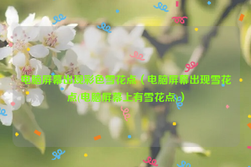 电脑屏幕出现彩色雪花点（电脑屏幕出现雪花点(电脑屏幕上有雪花点)）