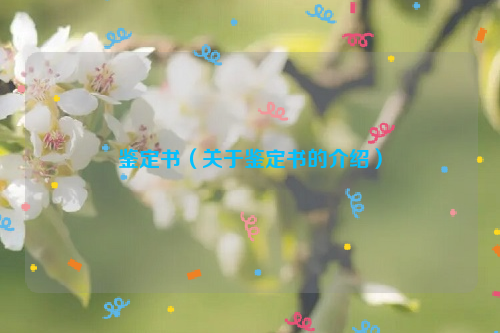 鉴定书（关于鉴定书的介绍）