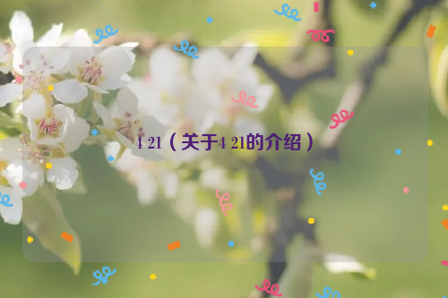4 21（关于4 21的介绍）