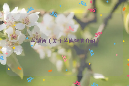 黄德智（关于黄德智的介绍）
